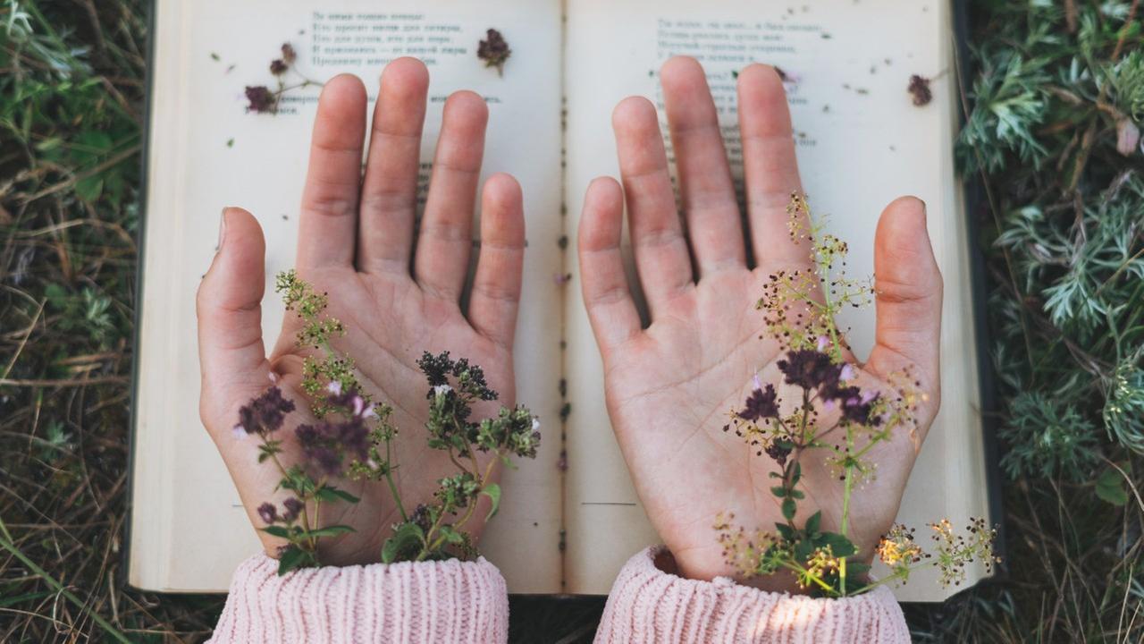 Ein Buch, darüber zwei Hände mit den Handflächen nach oben, darin liegen Blumen. Ein Buch, darüber zwei Hände mit den Handflächen nach oben, darin liegen Blumen.