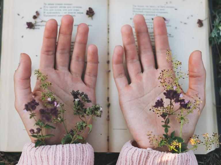 Ein Buch, darüber zwei Hände mit den Handflächen nach oben, darin liegen Blumen.
