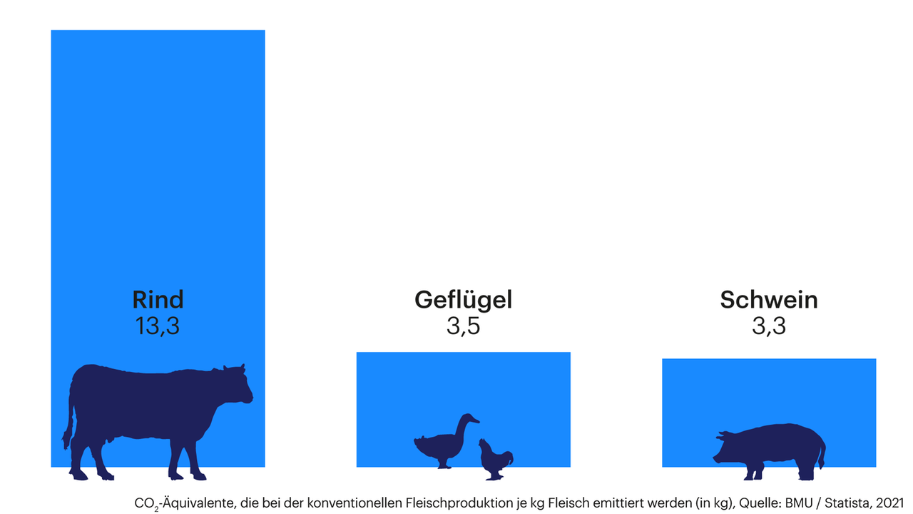 Die Grafik zeigt CO2-Äquivalente, die bei der Fleischproduktion emittiert werden