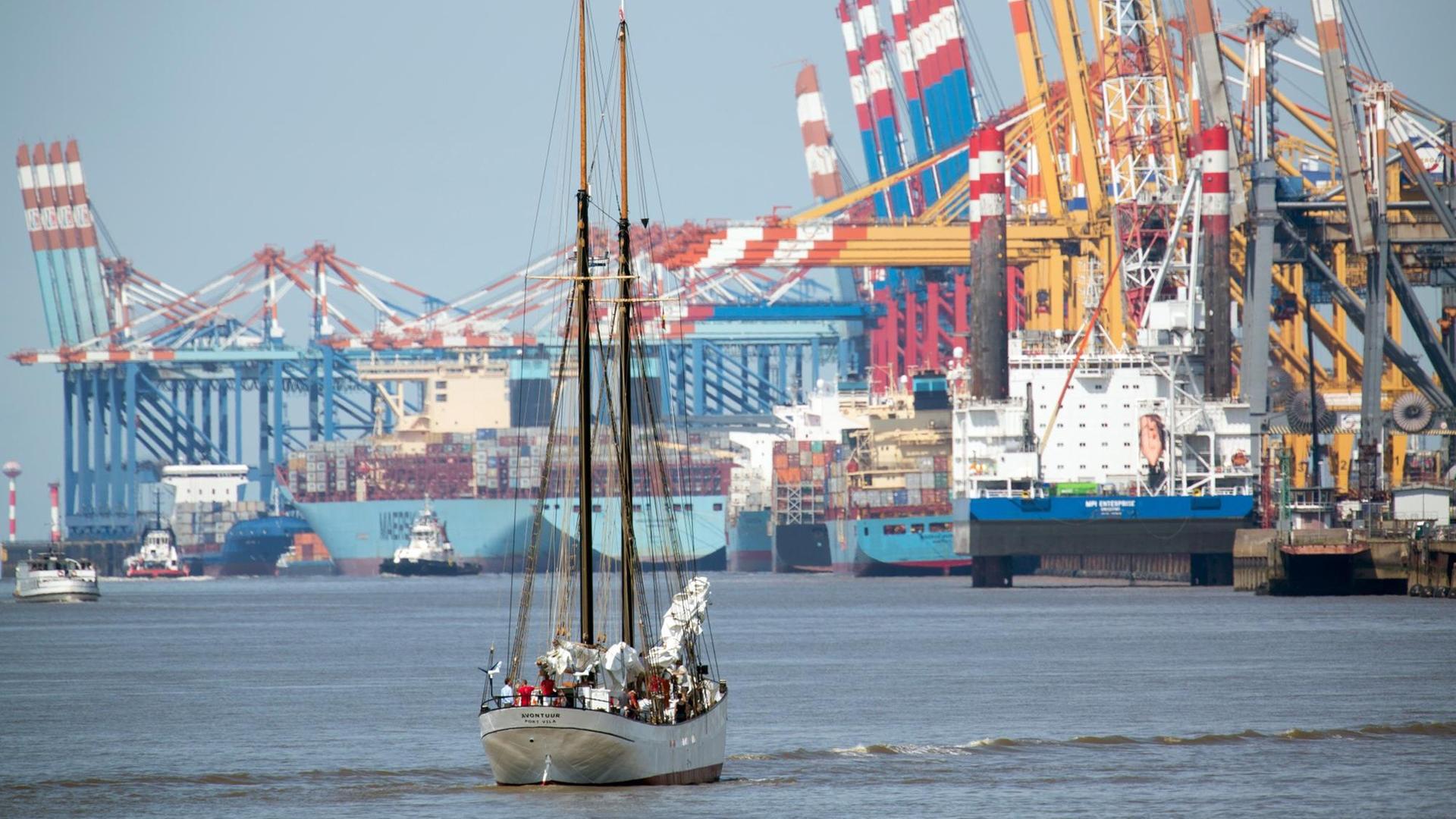 Der Frachtsegler "Avontuur" fährt am 28.07.2016 auf der Weser in Bremerhaven auf den Container-Terminal in Bremerhaven zu. Der 44 Meter lange Gaffelschoner von 1920 soll zukünftig umweltschonend unter Segeln Frachten transportieren. Er kann 70 Tonnen Ladung aufnehmen. Der Frachtsegler "Avontuur" fährt am 28.07.2016 auf der Weser in Bremerhaven auf den Container-Terminal in Bremerhaven zu. Der 44 Meter lange Gaffelschoner von 1920 soll zukünftig umweltschonend unter Segeln Frachten transportieren. Er kann 70 Tonnen Ladung aufnehmen.