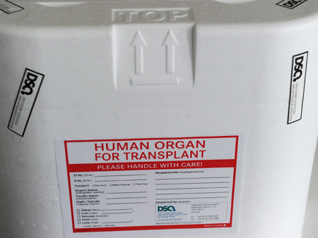 Eine Organtransportbox steht in den Räumen der Deutschen Stiftung Organtransplantation (DSO) in Berlin. Eine Organtransportbox steht in den Räumen der Deutschen Stiftung Organtransplantation (DSO) in Berlin.