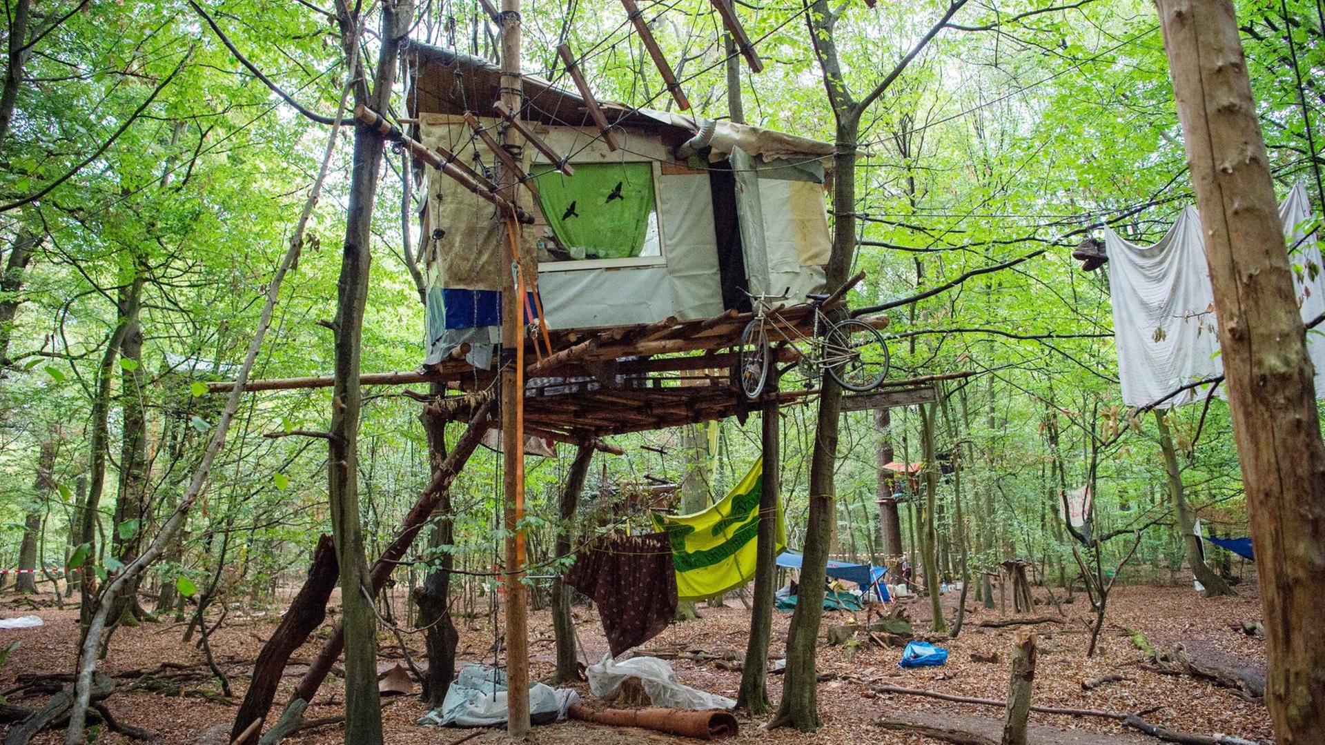 Ein Baumhaus von Aktivisten im Hambacher Forst Ein Baumhaus von Aktivisten im Hambacher Forst