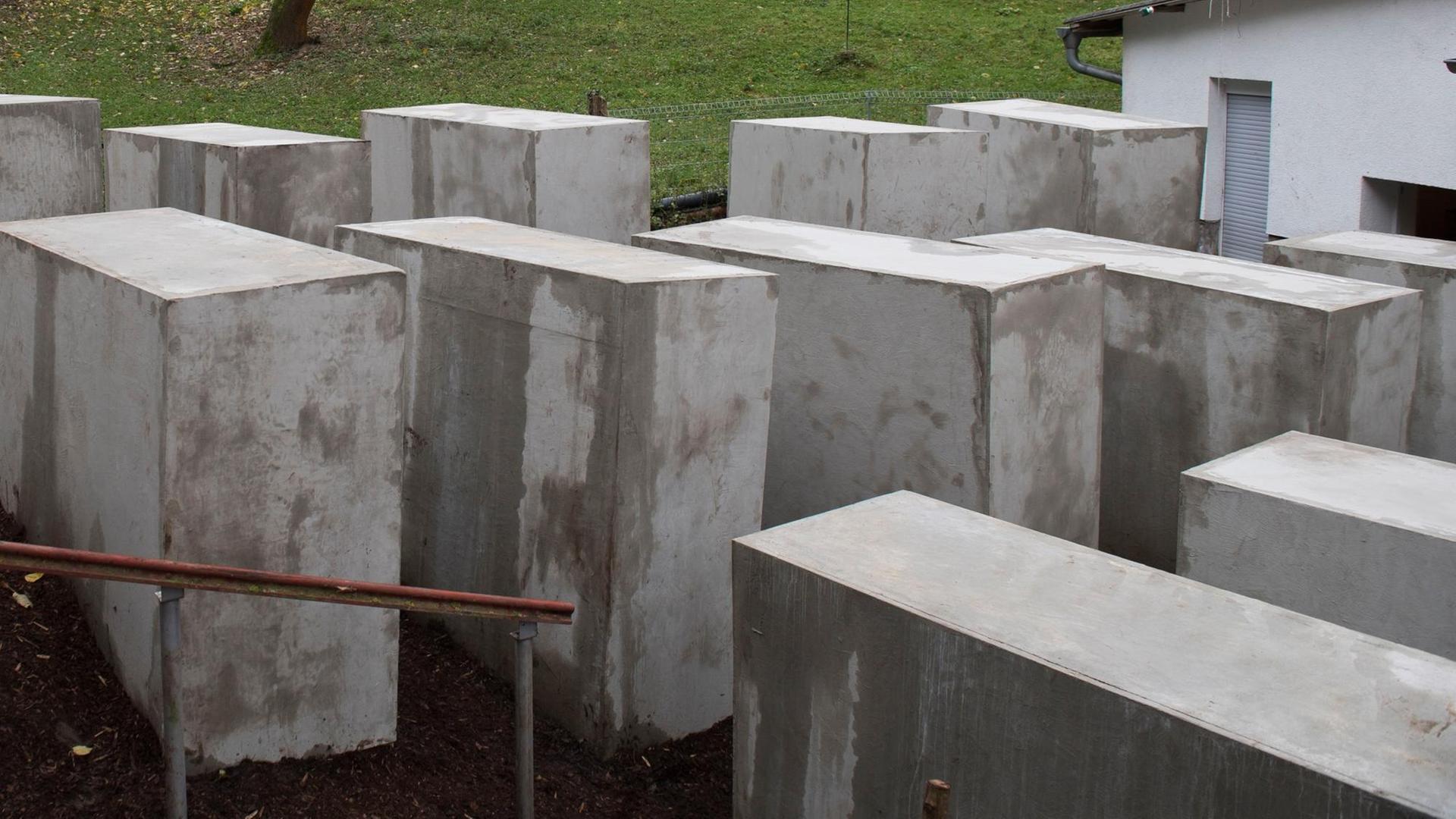 Das "Denkmal der Schande", ein verkleinerter Nachbau des Berliner Holocaust-Mahnmals, ist am 22.11.2017 in Bornhagen im Eichsfeld (Thüringen) in Sichtweite des Grundstücks von AfD-Politiker Höcke zu sehen. Das "Denkmal der Schande", ein verkleinerter Nachbau des Berliner Holocaust-Mahnmals, ist am 22.11.2017 in Bornhagen im Eichsfeld (Thüringen) in Sichtweite des Grundstücks von AfD-Politiker Höcke zu sehen.