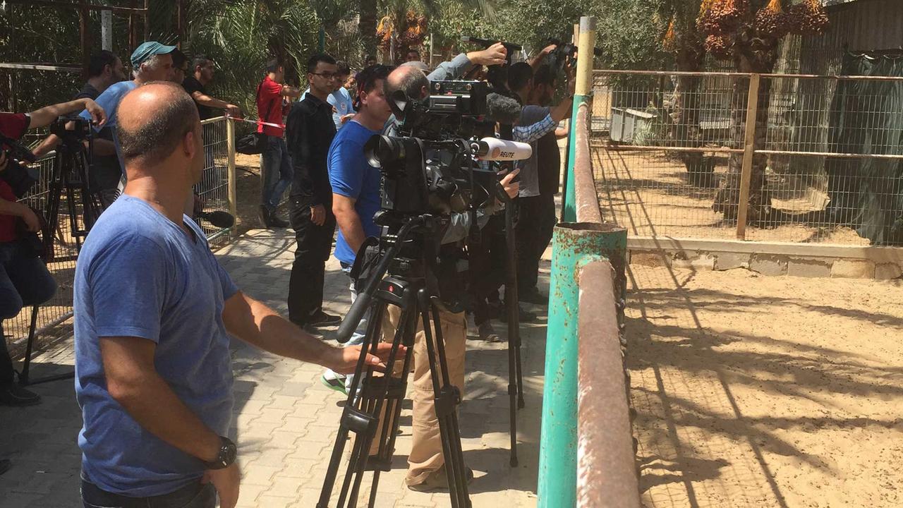 Journalisten beobachten die Räumung des Zoos in Khan Younis (Gaza)