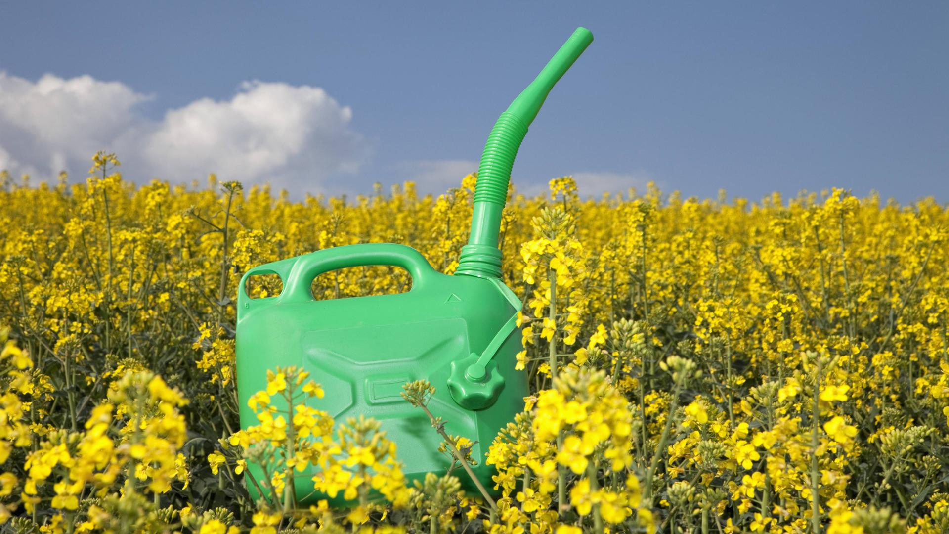 Ein Kanister mit Biokraftstoff steht in einem Feld in Bayern.