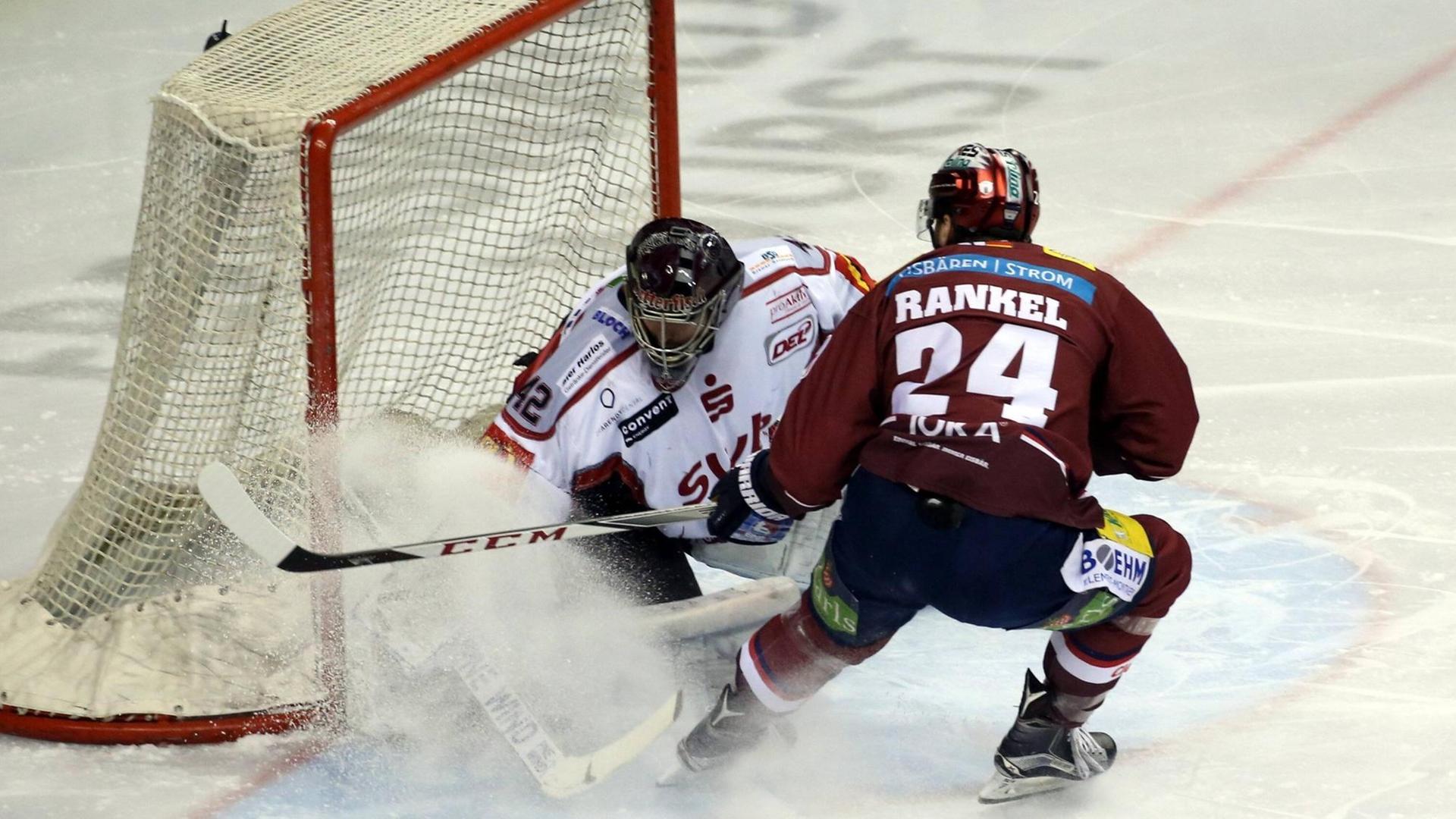 Tor für die Eisbären Berlin gegen die Pinguins aus Bremerhaven Tor für die Eisbären Berlin gegen die Pinguins aus Bremerhaven