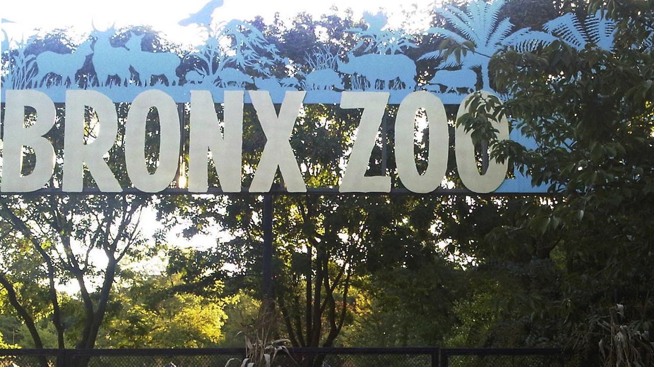 Der "Bronx Zoo" in New York City.