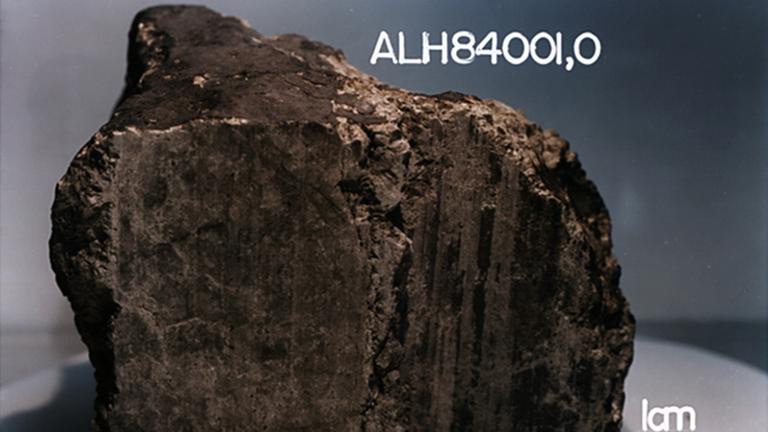 ALH84001, einer der berühmtesten Meteoriten ALH84001, einer der berühmtesten Meteoriten