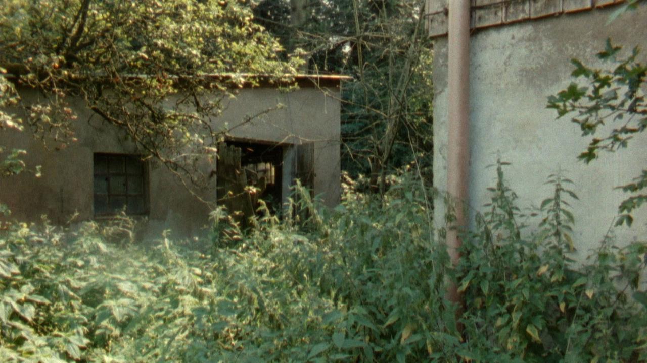 Ein Schuppen auf dem Hof des norddeutschen Bauern Willi. Ein Schuppen auf dem Hof des norddeutschen Bauern Willi.