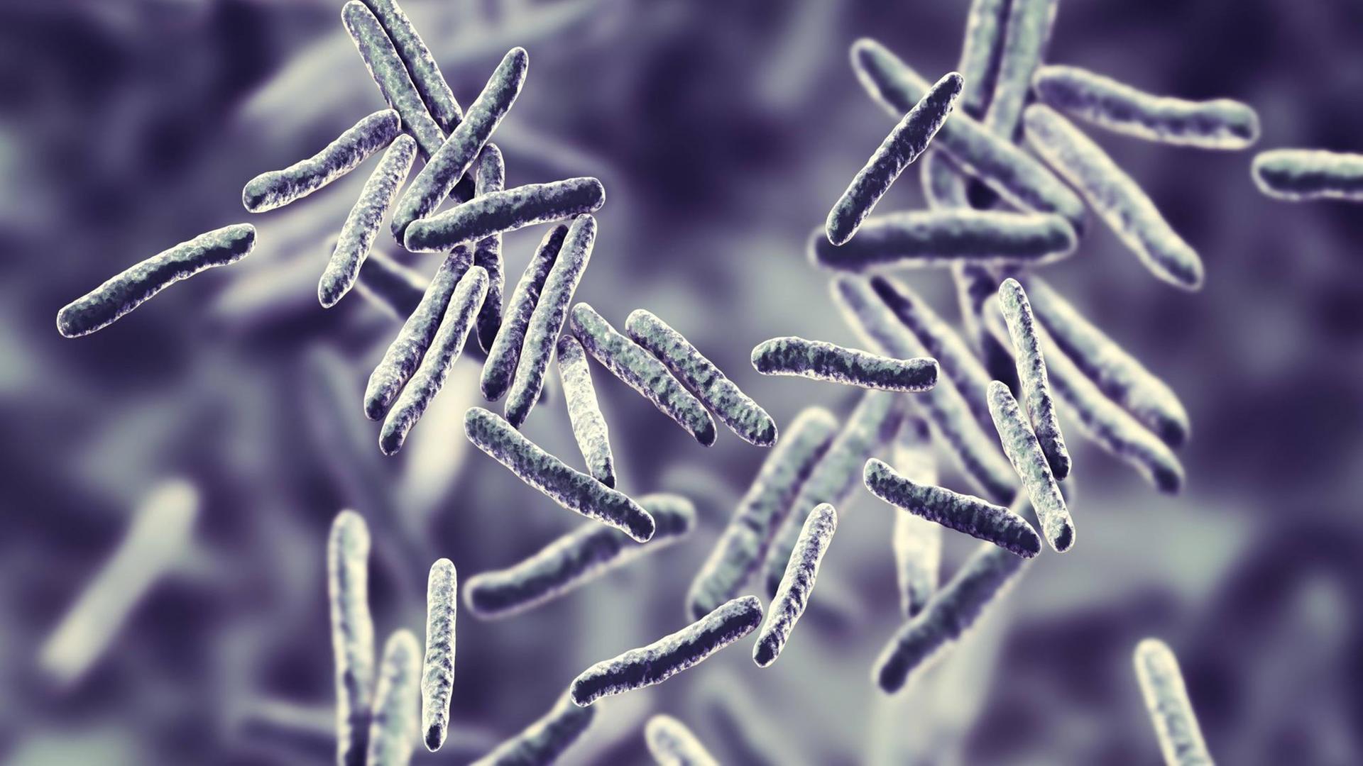 Illustration eines Tuberculosis bacteria. Illustration eines Tuberculosis bacteria.