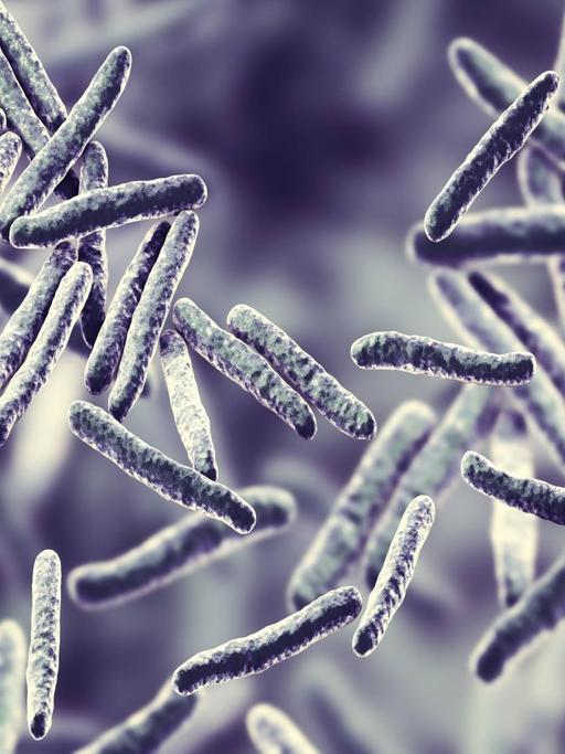 Illustration eines Tuberculosis bacteria.
