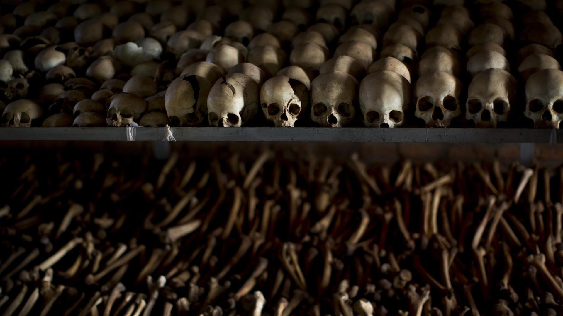Schädel und Knochen von Opfern, die während des Genozid 1994 in Ntarama, Ruanda, vergeblich Schutz in einer Kirche suchten. Über drei Monate dauerte das Morden. Extremistische Hutus töteten Nachbarn, Freunde und Familienmitglieder, die den moderaten Hutus oder den ethnischen Tutsis angehörten. Mehr als eine Millionen Menschen starben. Schädel und Knochen von Opfern, die während des Genozid 1994 in Ntarama, Ruanda, vergeblich Schutz in einer Kirche suchten. Über drei Monate dauerte das Morden. Extremistische Hutus töteten Nachbarn, Freunde und Familienmitglieder, die den moderaten Hutus oder den ethnischen Tutsis angehörten. Mehr als eine Millionen Menschen starben.