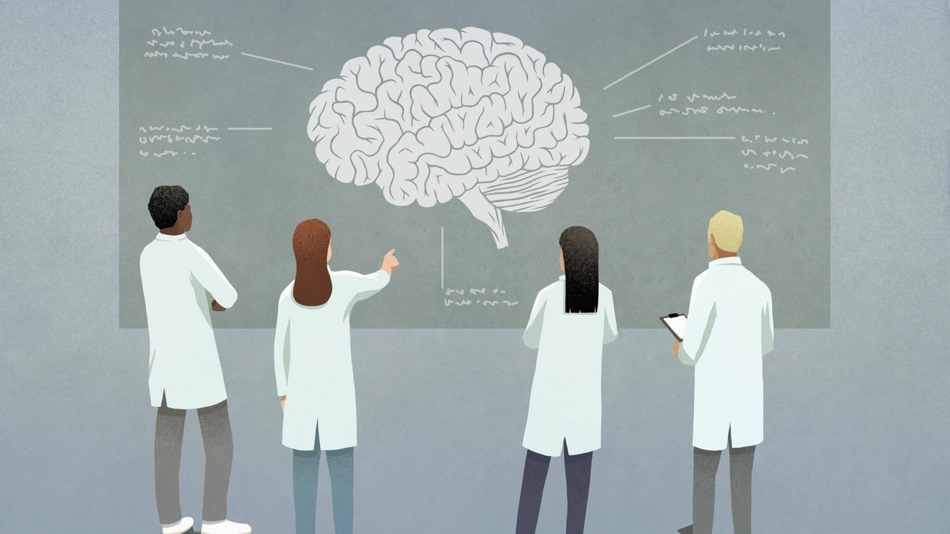 Wissenschaftler diskutieren ein Gehirndiagramm. (Illustration)