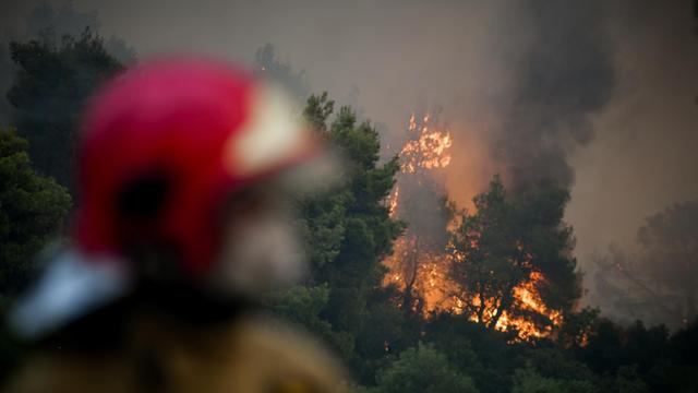 Feuer und Löscharbeiten in Vilia im Nordwesten der griechischen Hauptstadt Athen am 18. August 2021.