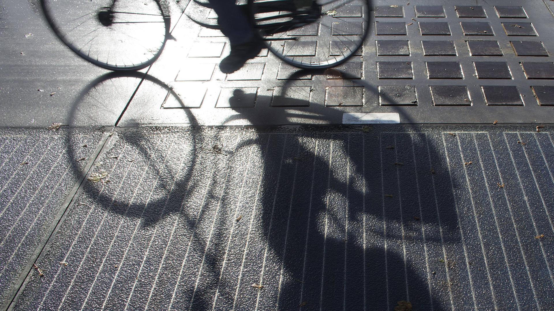 Der weltweit erste Solar-Fahrradweg, die "Solaroad", im Ortsteil Krommenie in den Niederlanden am 22. Oktober 2014. Der weltweit erste Solar-Fahrradweg, die "Solaroad", im Ortsteil Krommenie in den Niederlanden am 22. Oktober 2014.