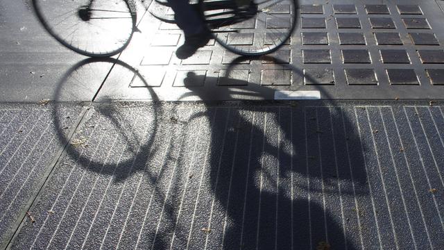 Der weltweit erste Solar-Fahrradweg, die "Solaroad", im Ortsteil Krommenie in den Niederlanden am 22. Oktober 2014.