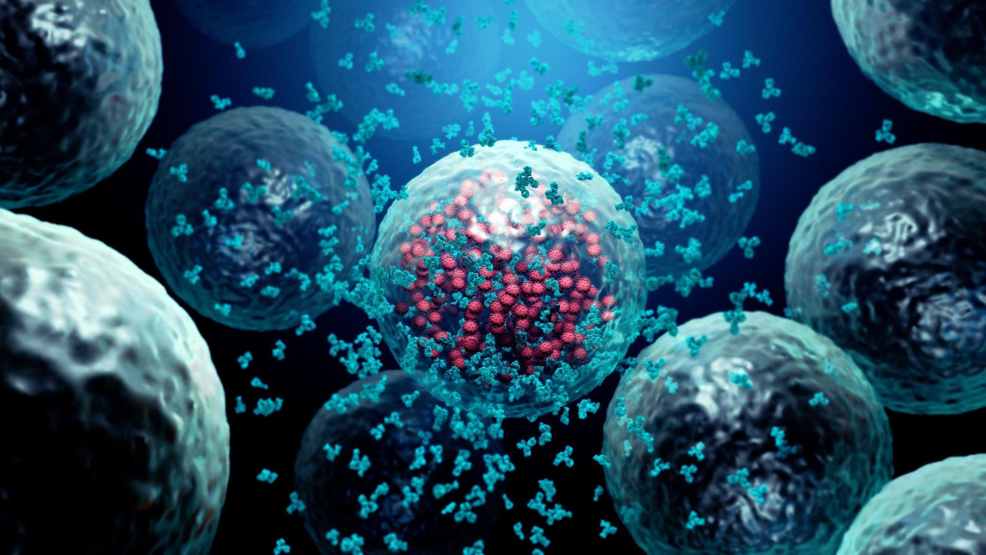 Illustration von Y-förmigen Antikörpern die eine, vom Virus befallene, Zelle umkreisen. Illustration von Y-förmigen Antikörpern die eine, vom Virus befallene, Zelle umkreisen.