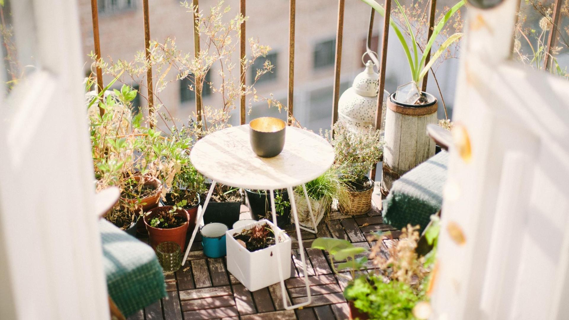 Blick auf einen Balkon mit Topfpflanzen. Blick auf einen Balkon mit Topfpflanzen.