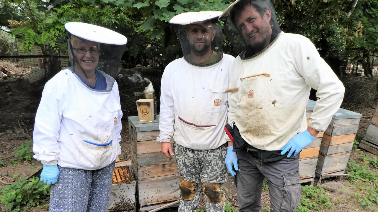 Drei weiß gekleidete Imker mit Haube von einem Bienenstock