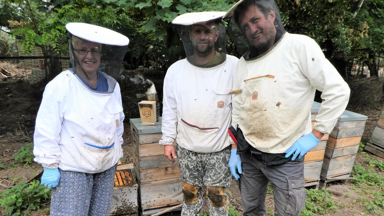 Drei weiß gekleidete Imker mit Haube von einem Bienenstock Drei weiß gekleidete Imker mit Haube von einem Bienenstock