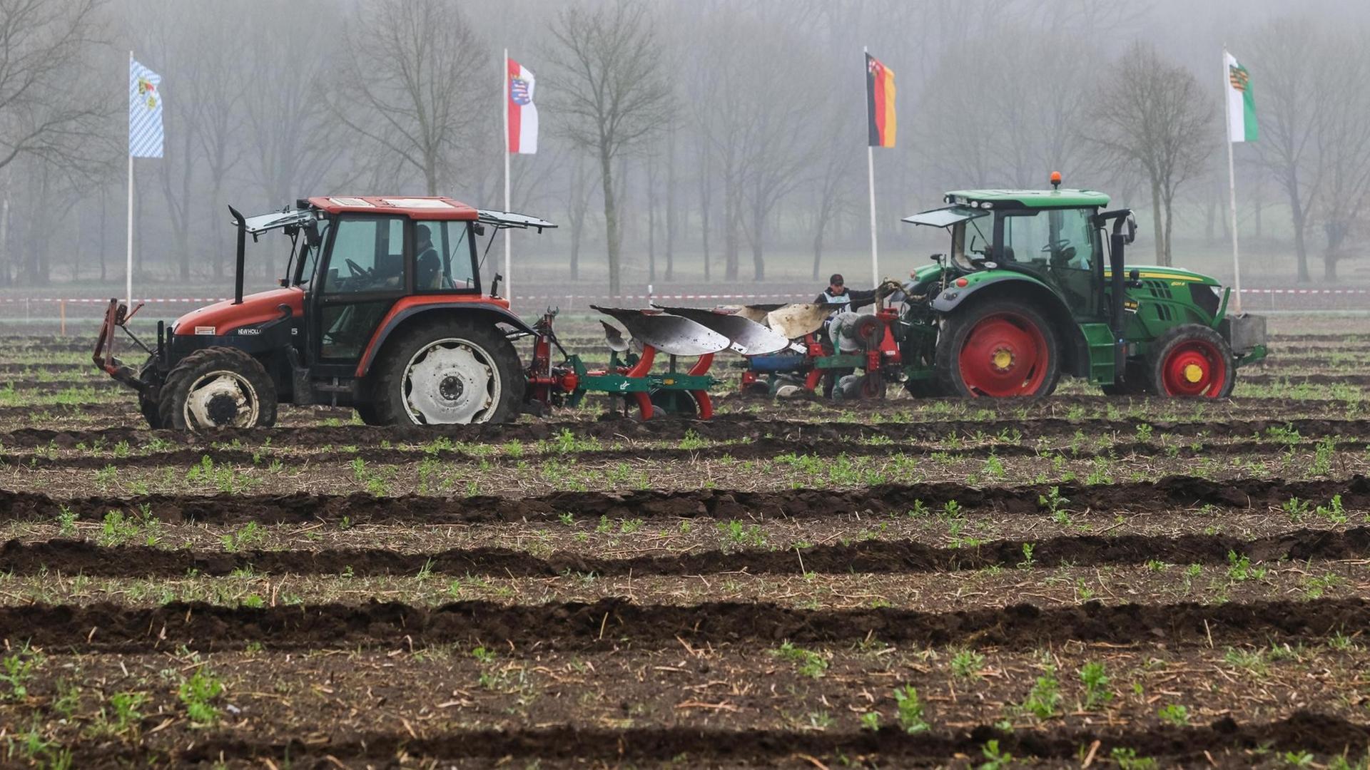 Das Bild zeigt zwei Teilnehmer beim Bundesentscheid im Leistungspflügen mit ihren Traktoren auf dem Turnierfeld. In Hintergrund sind verschiedene Fahnen zu sehen. Das Bild zeigt zwei Teilnehmer beim Bundesentscheid im Leistungspflügen mit ihren Traktoren auf dem Turnierfeld. In Hintergrund sind verschiedene Fahnen zu sehen.