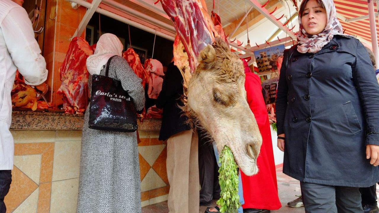 Ausgestellter Kamelkopf bei einem Metzger auf einem Markt von Casablanca