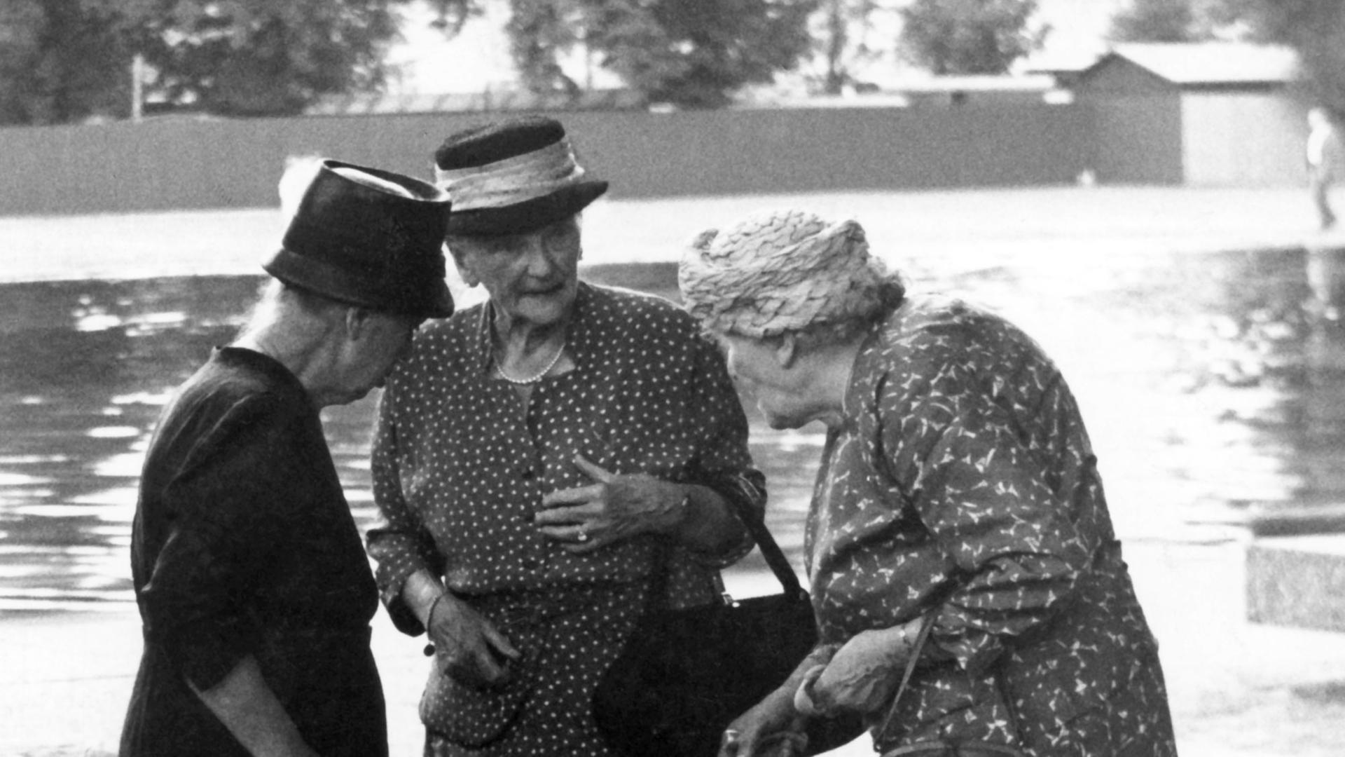 Die älteren Frauen im Dorf fragen, wieviele Kinder die Signora denn hat. Die älteren Frauen im Dorf fragen, wieviele Kinder die Signora denn hat.