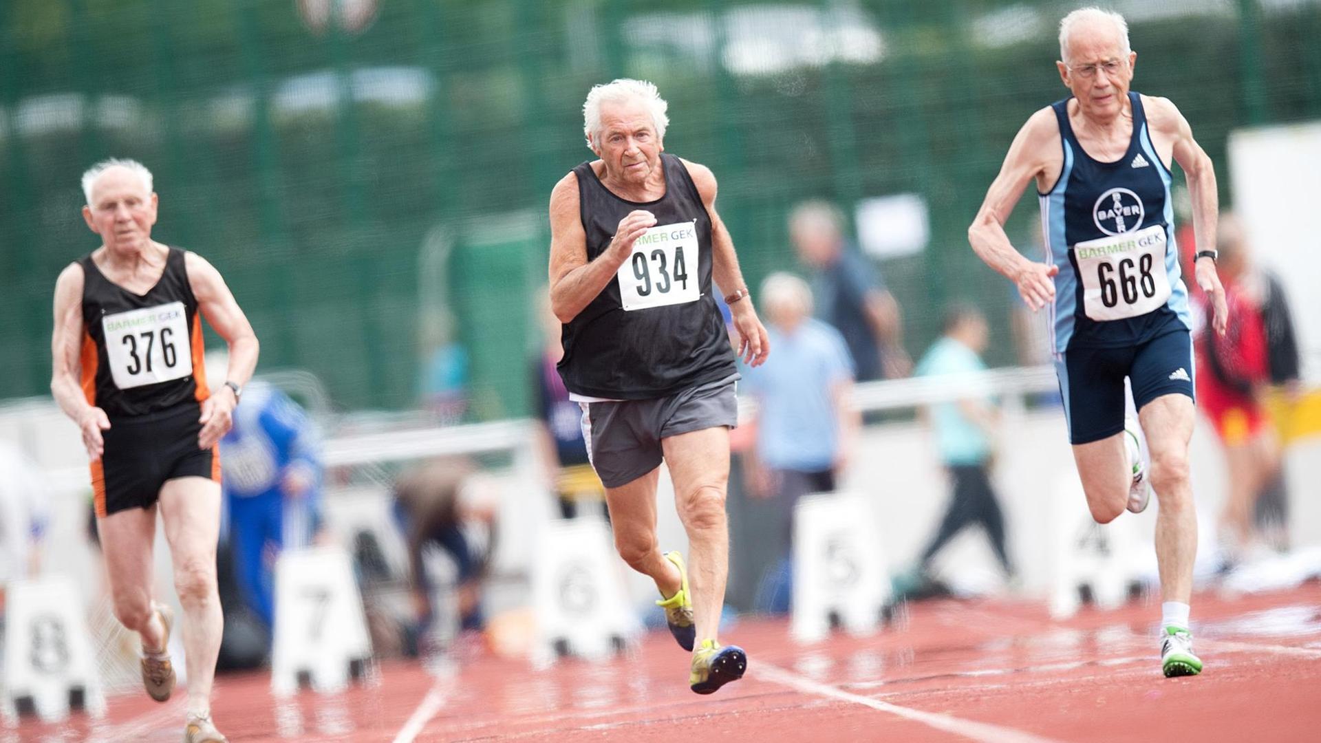 Heinz Stäcker (l-r, 86, SSC Vellmar von 1973), Horst Pfeiffer (88, Sport-Club Itzehoe) und Herbert E. Müller (86, LAV Bayer Uerdingen/Dormage) sprinten am 08.07.2016 beim 100 Meter Lauf (Startklasse M85) bei den Deutschen Senioren-Meisterschaften der Leichtathletik in Leinefelde-Worbis. Heinz Stäcker (l-r, 86, SSC Vellmar von 1973), Horst Pfeiffer (88, Sport-Club Itzehoe) und Herbert E. Müller (86, LAV Bayer Uerdingen/Dormage) sprinten am 08.07.2016 beim 100 Meter Lauf (Startklasse M85) bei den Deutschen Senioren-Meisterschaften der Leichtathletik in Leinefelde-Worbis.