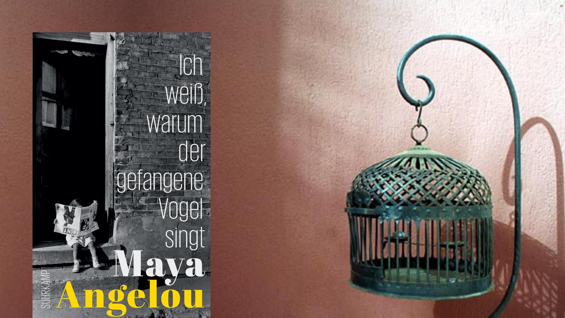 Buchcover: Maya Angelou: "Ich weiß, warum der gefangene Vogel singt" Buchcover: Maya Angelou: "Ich weiß, warum der gefangene Vogel singt"