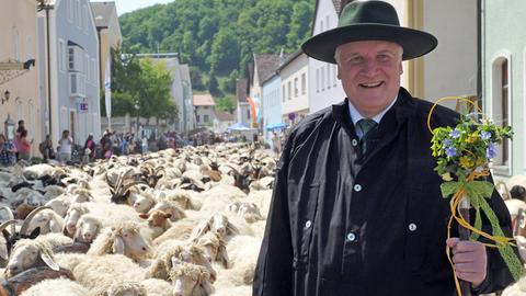 Horst Seehofer (CSU) - zu diesem Zeitpunkt noch Bayerns Ministerpräsident - führt in Mörnsheim (Oberbayern) eine Schafherde an.