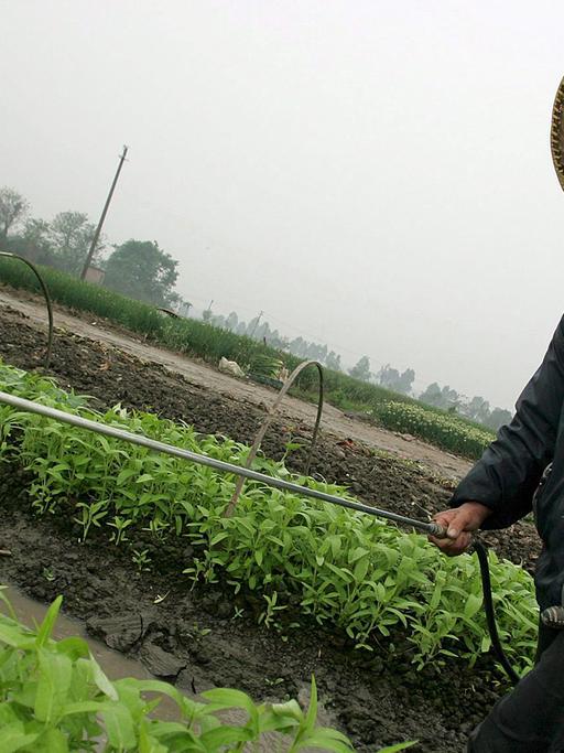 Eine chinesische Bäuerin sprüht Pestizide auf Gemüsepflanzen; Aufnahme aus der Provinz Guangdong vom März 2006