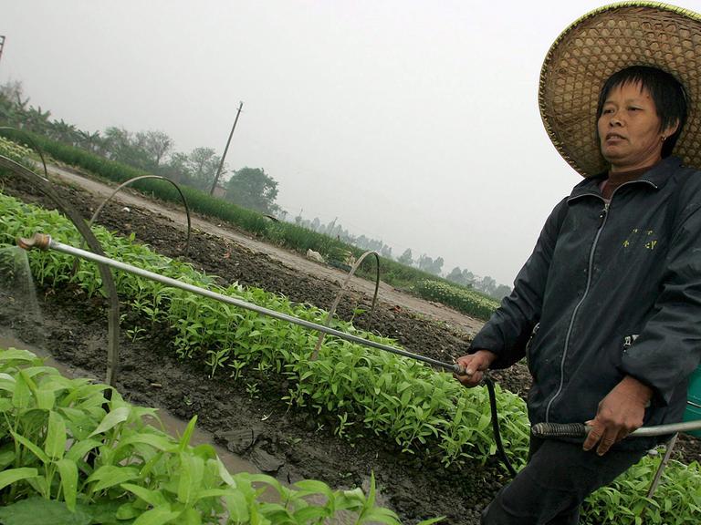 Eine chinesische Bäuerin sprüht Pestizide auf Gemüsepflanzen; Aufnahme aus der Provinz Guangdong vom März 2006