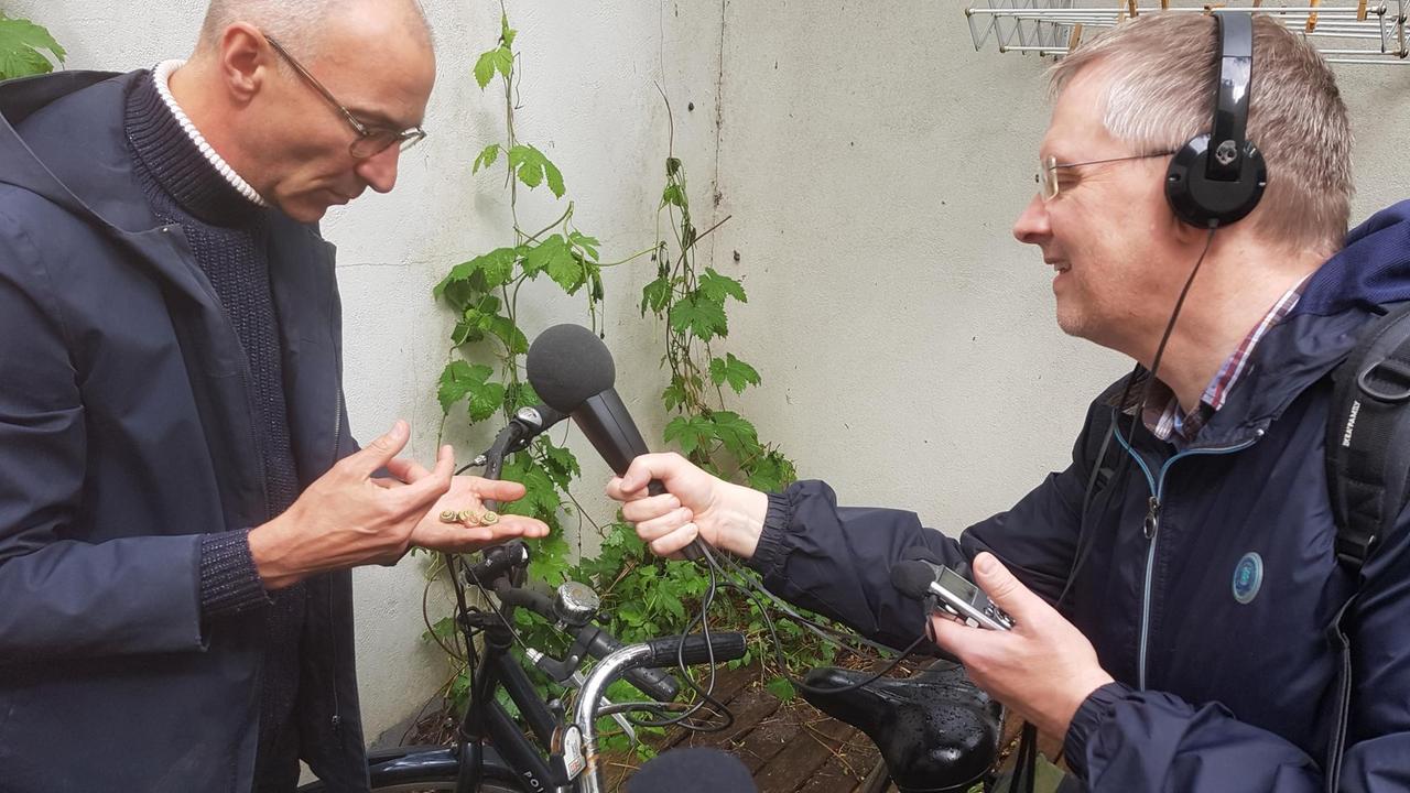 Der Evolutionsbiologe Menno Schilthuizen zeigt Reporter Michael Lange farblich veränderte Schneckengehäuse Der Evolutionsbiologe Menno Schilthuizen zeigt Reporter Michael Lange farblich veränderte Schneckengehäuse