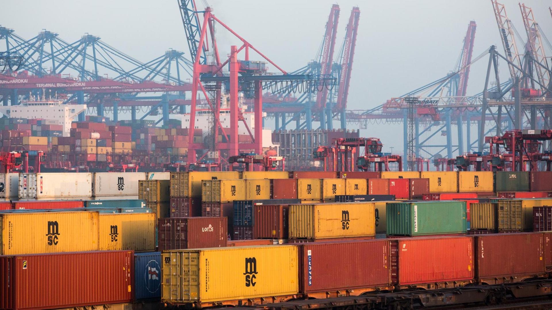 Container sind am 25.01.2017 auf dem Gelände des Logistikunternehmens Eurokombi im Hafen von Hamburg zu sehen. Im Hintergrund sind die Containerbrücken des Terminals Eurogate zu sehen.