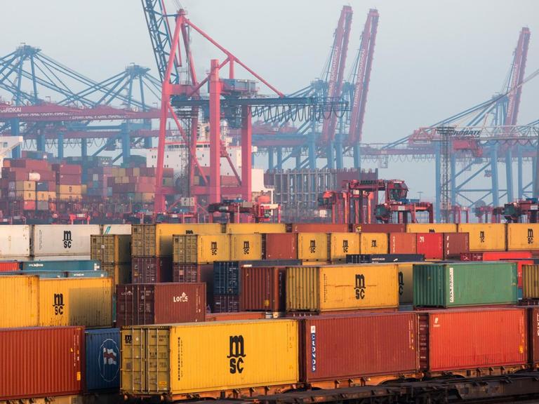 Container sind am 25.01.2017 auf dem Gelände des Logistikunternehmens Eurokombi im Hafen von Hamburg zu sehen. Im Hintergrund sind die Containerbrücken des Terminals Eurogate zu sehen.