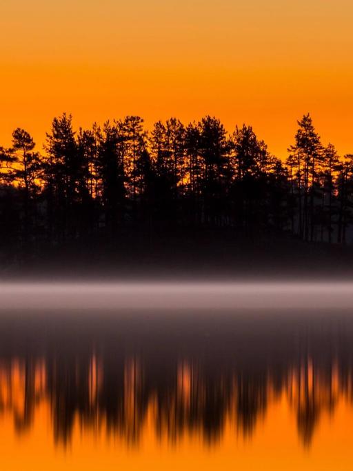 Morgendunst am Salajärvi in Finnland