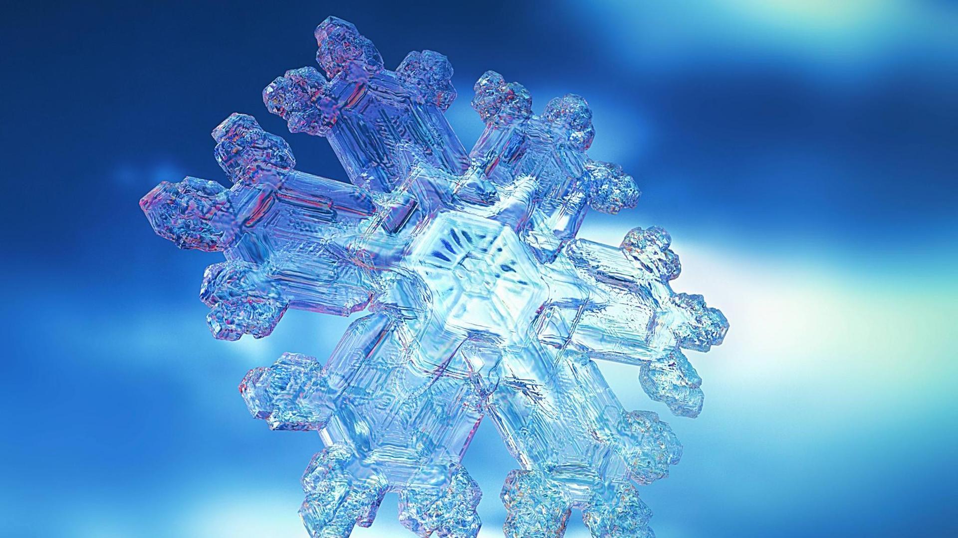 Eine einzelne Schneeflocke Eine einzelne Schneeflocke