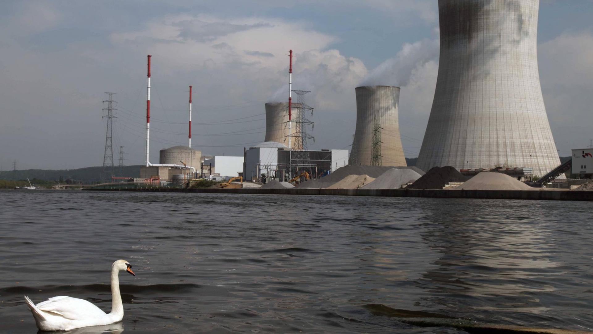 Blick auf das Atomkraftwerk Tihange in Belgein vom Flussufer der Maas aus betrachtet - am 23.04.2011. Links im Vordergrund ein Schwan. Blick auf das Atomkraftwerk Tihange in Belgein vom Flussufer der Maas aus betrachtet - am 23.04.2011. Links im Vordergrund ein Schwan.