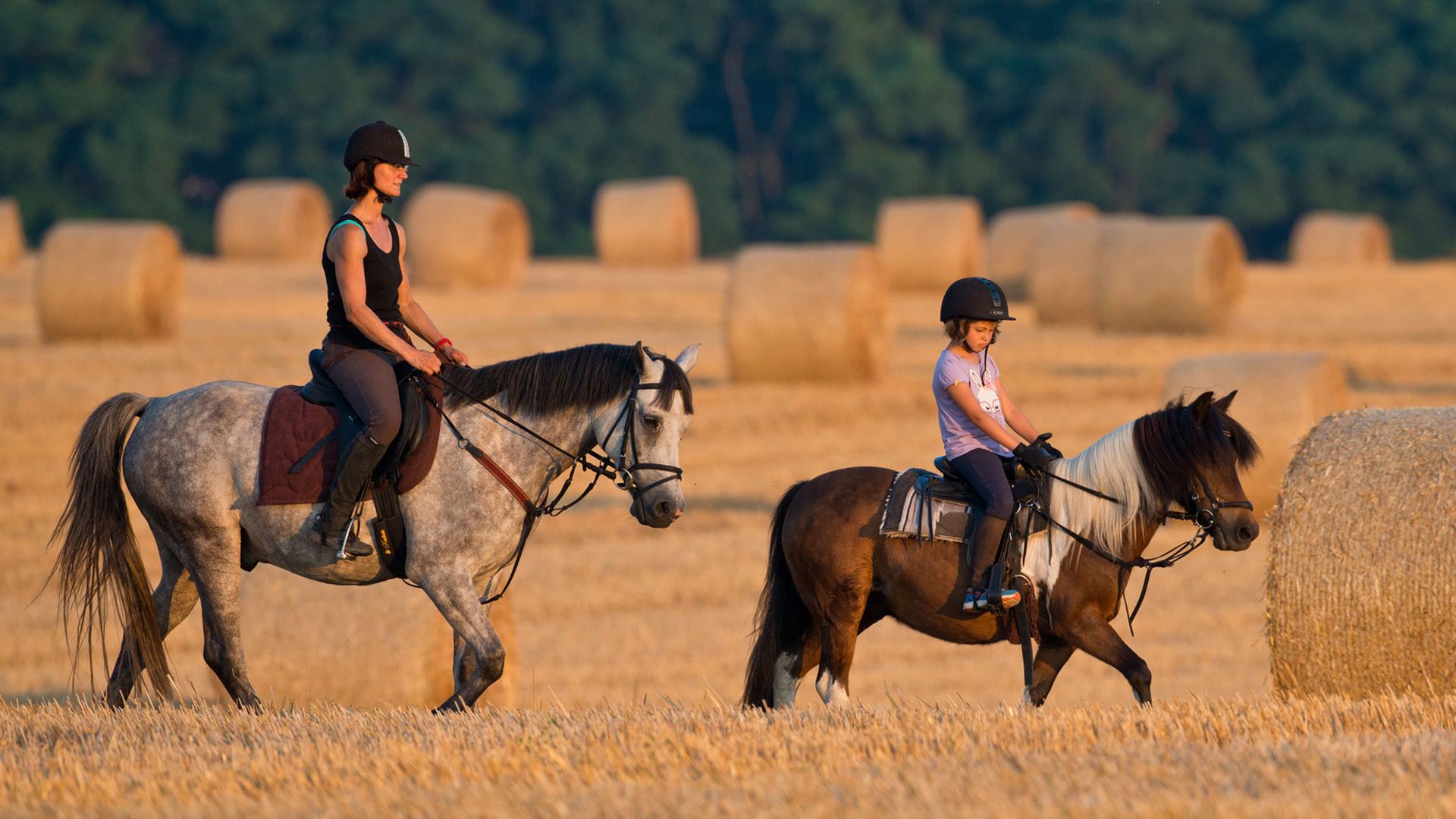 Eine Frau und ein Mädchen reiten im Sonnenuntergang über ein Stoppelfeld. Eine Frau und ein Mädchen reiten im Sonnenuntergang über ein Stoppelfeld.
