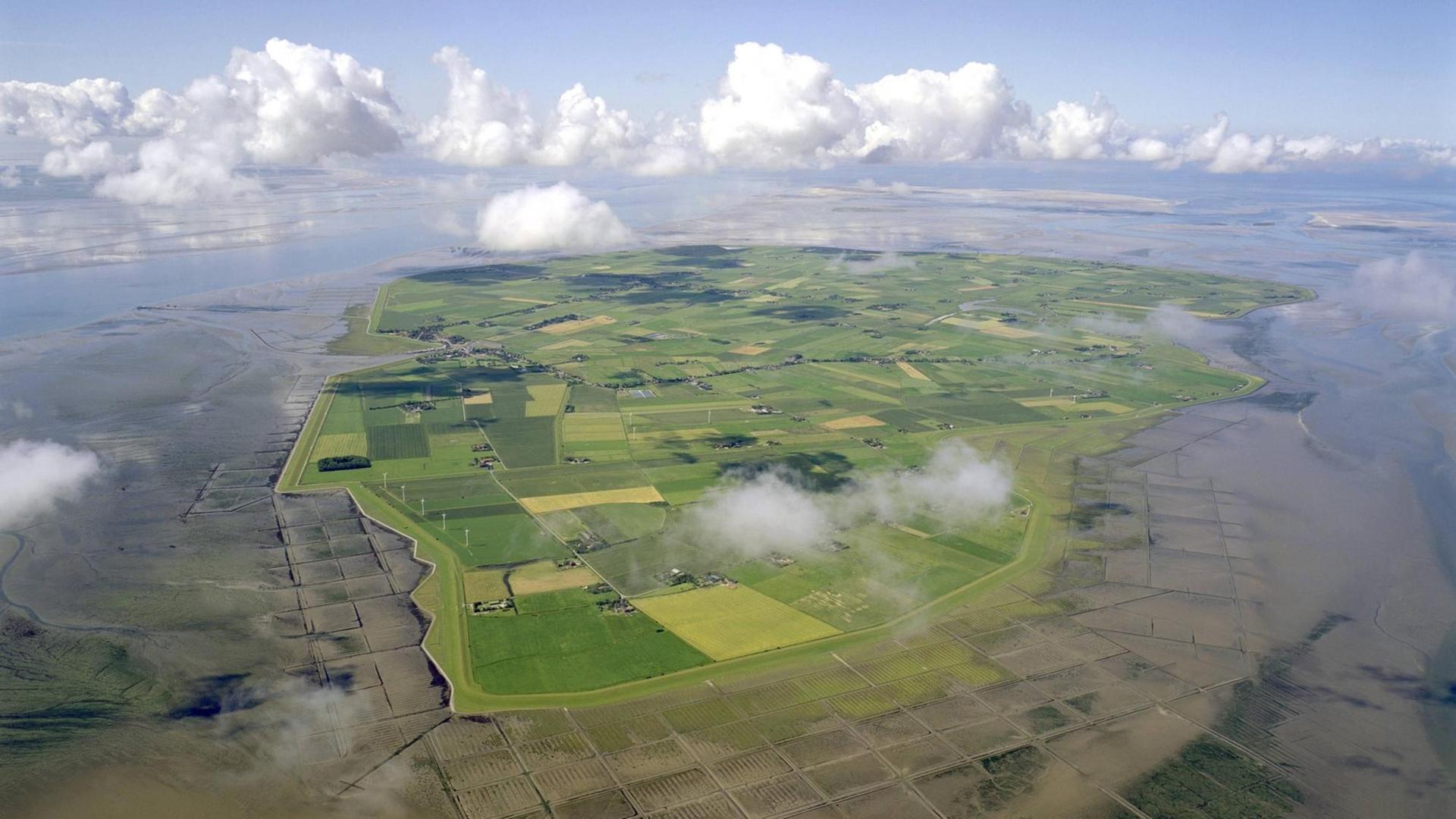 Luftbild der Insel Pellworm.
