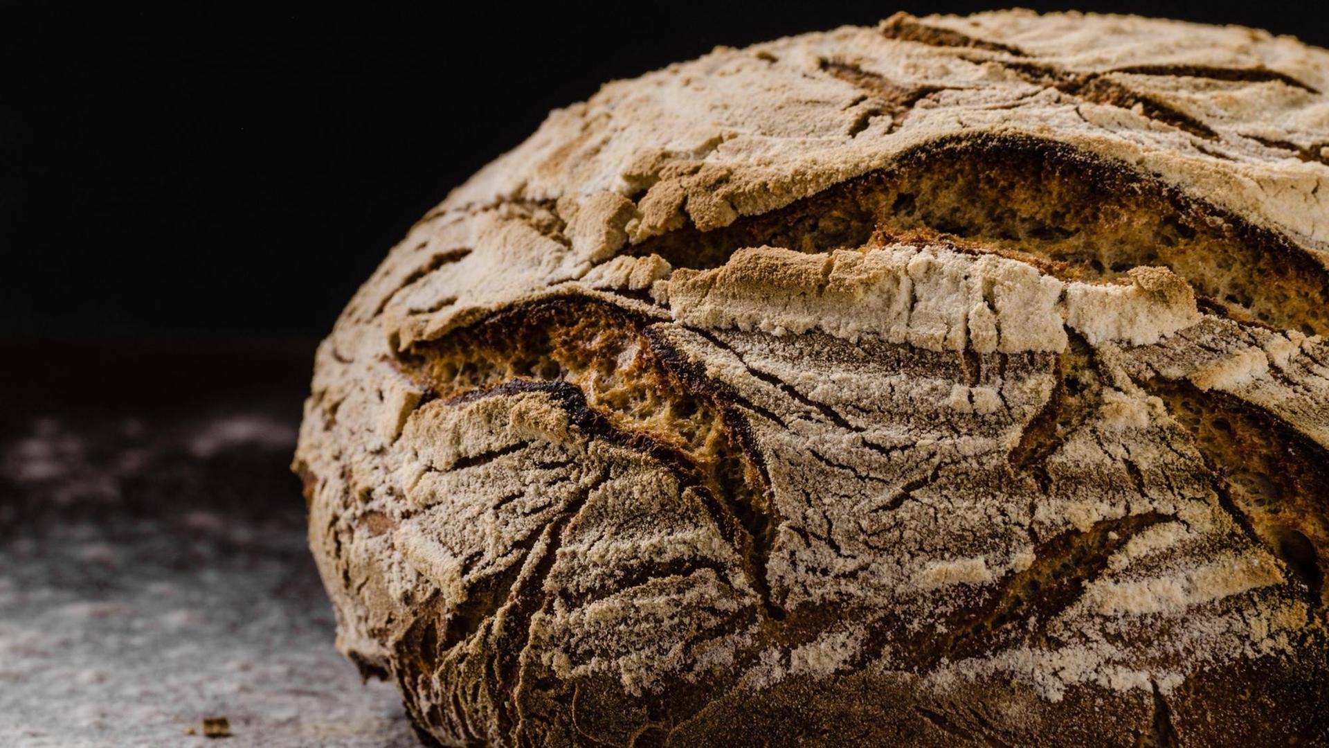 Hausgemachtes Sauerteigbrot. Hausgemachtes Sauerteigbrot.