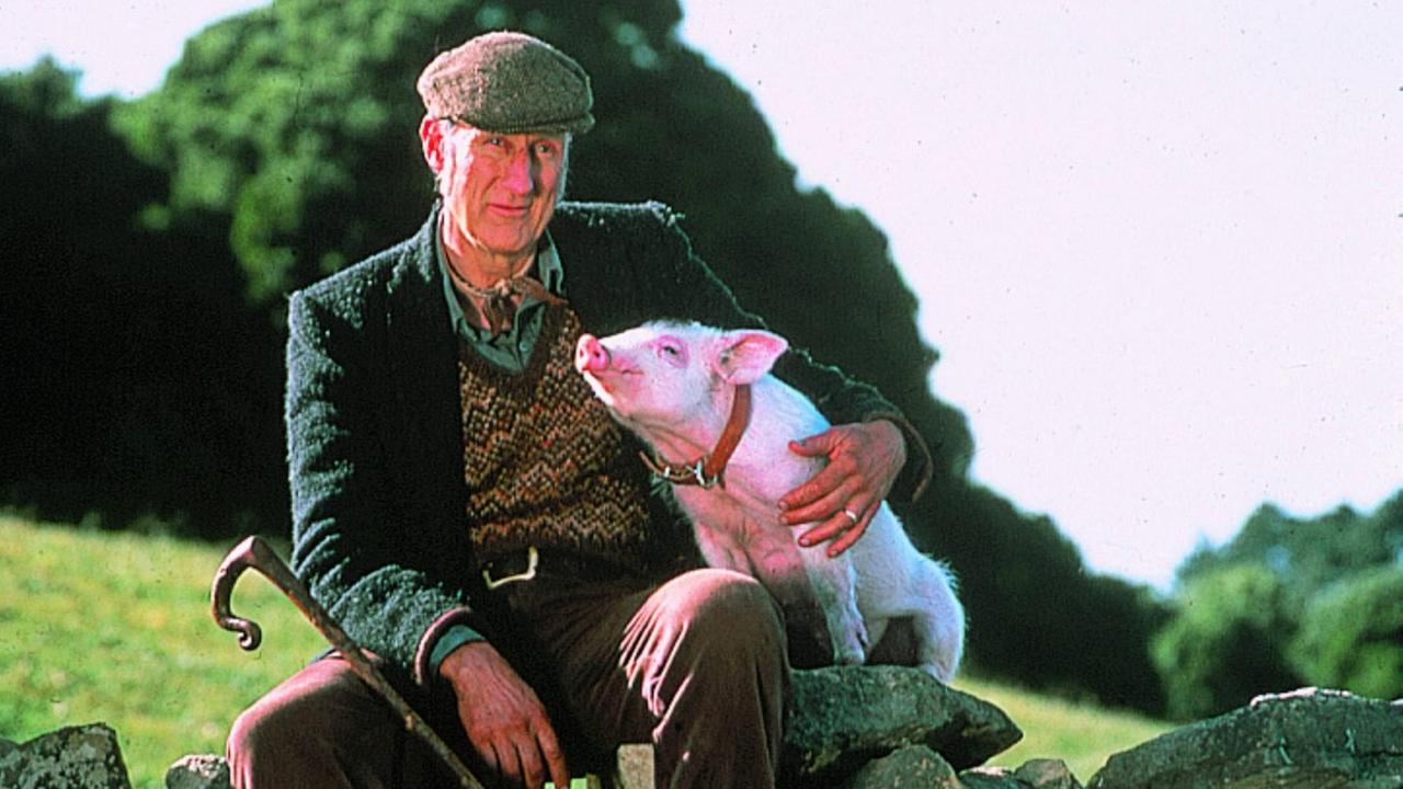 Filmszene aus "Ein Schweinchen namens Babe" aus dem Jahr 1996 - Schauspieler James Cromwell hält das intelligente und liebenswerte Schwein "Babe" im Arm Filmszene aus "Ein Schweinchen namens Babe" aus dem Jahr 1996 - Schauspieler James Cromwell hält das intelligente und liebenswerte Schwein "Babe" im Arm