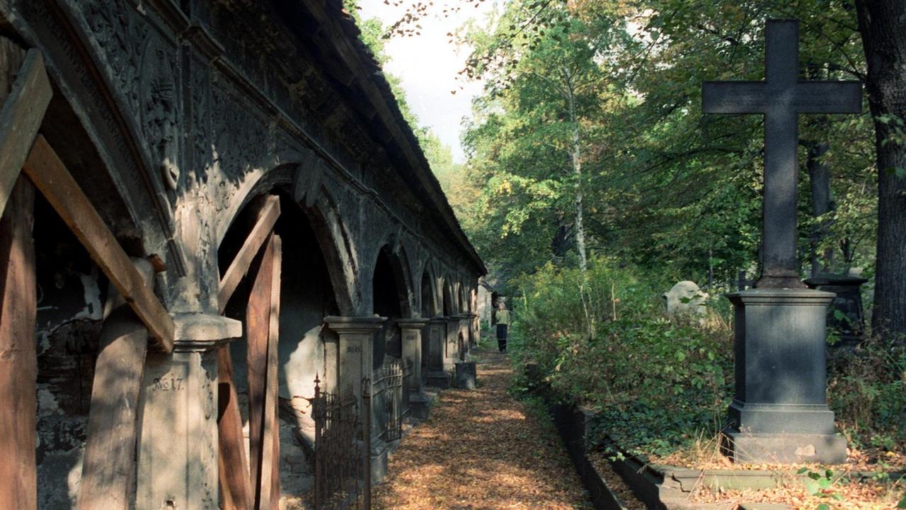 Herbststimmung auf dem jahrhundertelang vernachlässigten, unter Denkmalschutz stehenden Stadtgottesacker, der jetzt wieder restauriert und gepflegt werden soll. Bedeutende Persönlichkeiten der Stadt, der Unversität und der Franckeschen Stiftungen, wie z.B. August Hermann Francke, Friedrich Hoffmann und Christian Thomasius, wurden auf dem 1560 angelegten Renaissancefriedhof beigesetzt. Herbststimmung auf dem jahrhundertelang vernachlässigten, unter Denkmalschutz stehenden Stadtgottesacker, der jetzt wieder restauriert und gepflegt werden soll. Bedeutende Persönlichkeiten der Stadt, der Unversität und der Franckeschen Stiftungen, wie z.B. August Hermann Francke, Friedrich Hoffmann und Christian Thomasius, wurden auf dem 1560 angelegten Renaissancefriedhof beigesetzt.