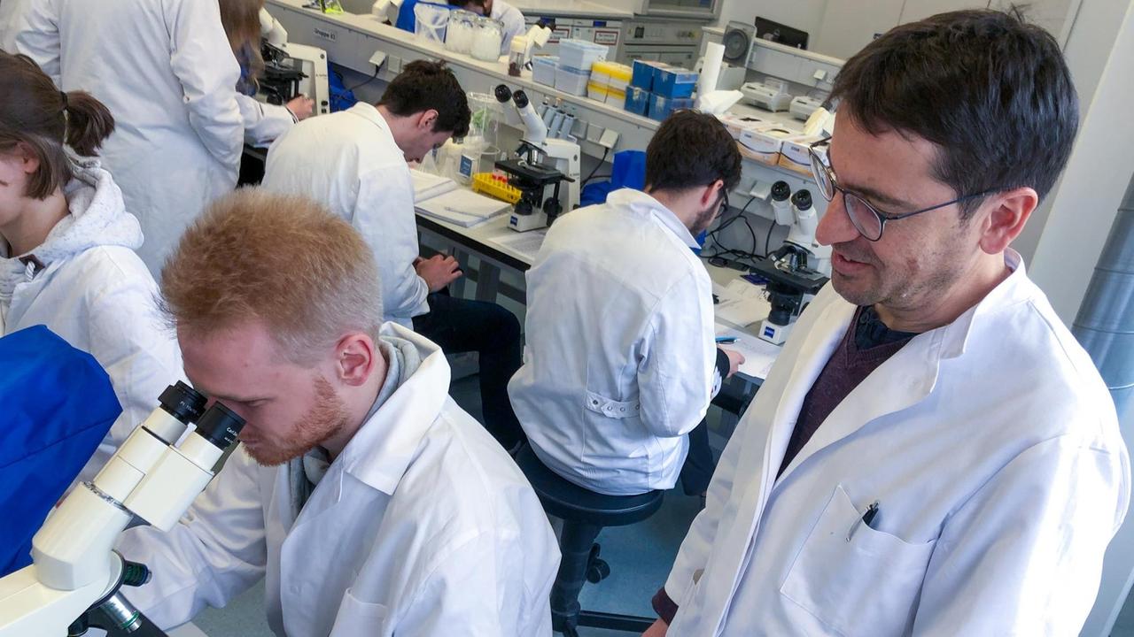 Professor Dr. Gregor Bucher, Leiter Abteilung Evolutionäre Entwicklungsgenetik, Universität Göttingen, betreut einen Studenten. Die Nachwuchsforscher haben per RNA-Interferenz einzelne Gene in Reismehlkäfern ausgestellt und berurteilen, welche Effekte das auf die Entwicklung der Insekten hat. Professor Dr. Gregor Bucher, Leiter Abteilung Evolutionäre Entwicklungsgenetik, Universität Göttingen, betreut einen Studenten. Die Nachwuchsforscher haben per RNA-Interferenz einzelne Gene in Reismehlkäfern ausgestellt und berurteilen, welche Effekte das auf die Entwicklung der Insekten hat.