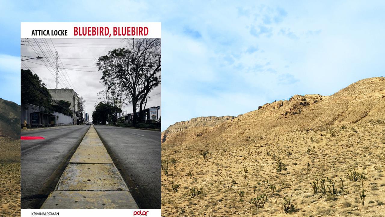 Das Cover von Attica Lockes "Bluebird, Bluebird" vor einem Hintergrundbild.
