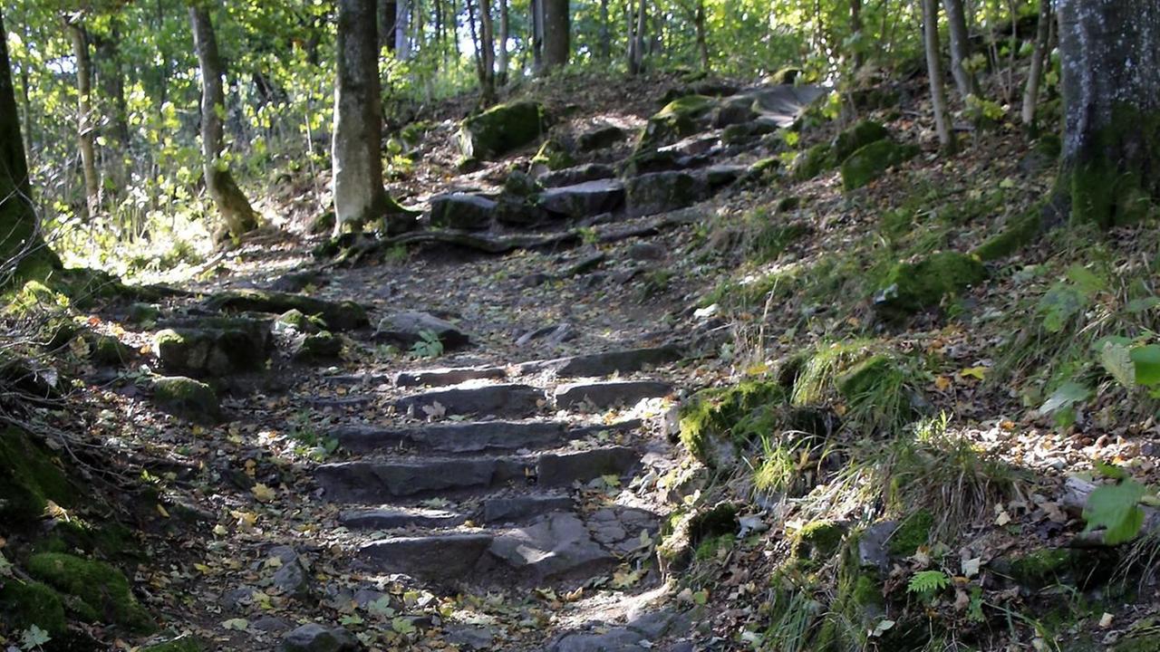 Führt der Weg über den Berg ans Ziel oder doch in die Irre? Wahrscheinlichkeitsrechnung ist gefragt Führt der Weg über den Berg ans Ziel oder doch in die Irre? Wahrscheinlichkeitsrechnung ist gefragt