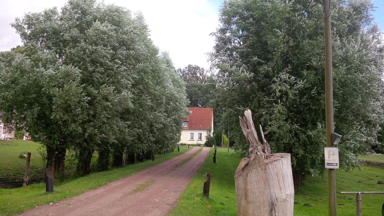 Kleine Weidenallee vor dem Gutshaus Kajahn (Poseritz, Rügen) Kleine Weidenallee vor dem Gutshaus Kajahn (Poseritz, Rügen)