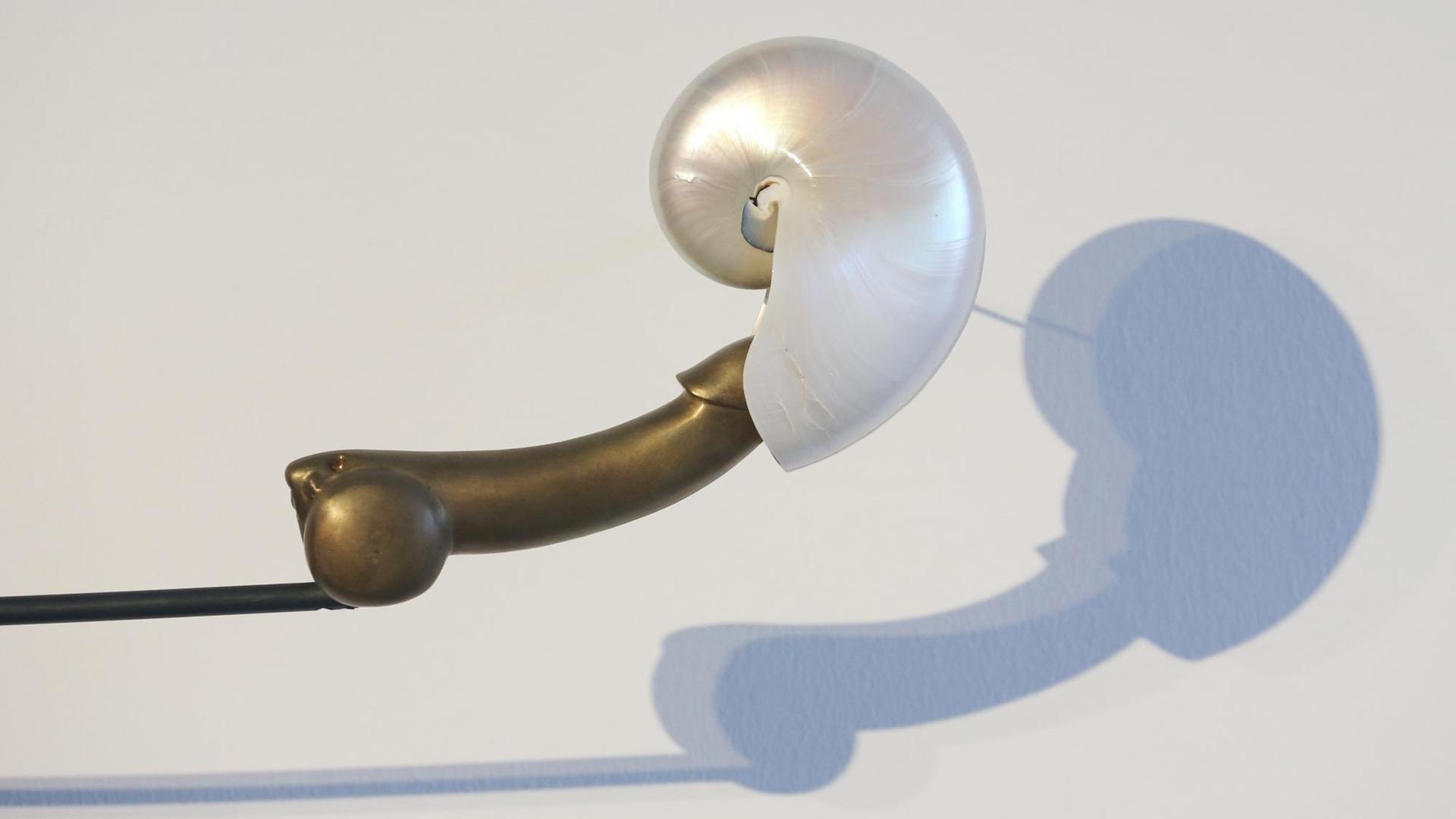 Das Objekt "Liebesflucht, Muschelschlaf" von Rebecca Horn wirft im Lehmbruck-Museum in Duisburg einen Schatten an die Wand. Das Objekt "Liebesflucht, Muschelschlaf" von Rebecca Horn wirft im Lehmbruck-Museum in Duisburg einen Schatten an die Wand.