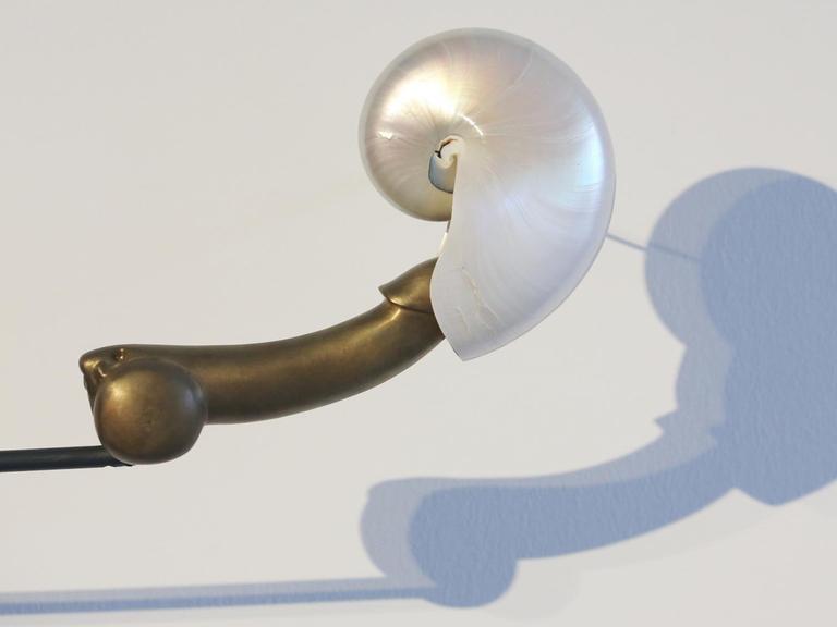 Das Objekt "Liebesflucht, Muschelschlaf" von Rebecca Horn wirft im Lehmbruck-Museum in Duisburg einen Schatten an die Wand.