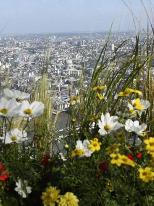 Urbanes Gärtnern liegt bei Großstädtern im Trend: Paris oder London (Bild) begrünen ihre Dächer.